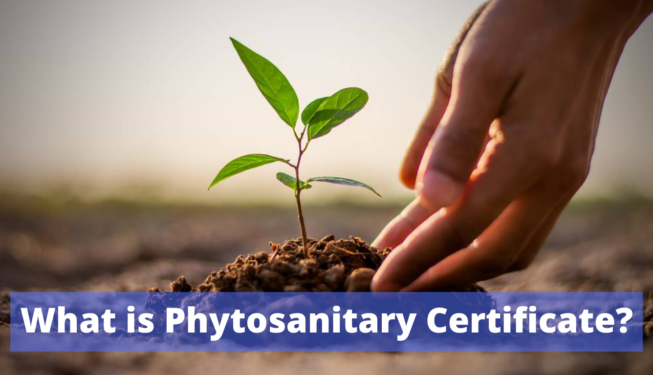 what is phytosanitary certificate