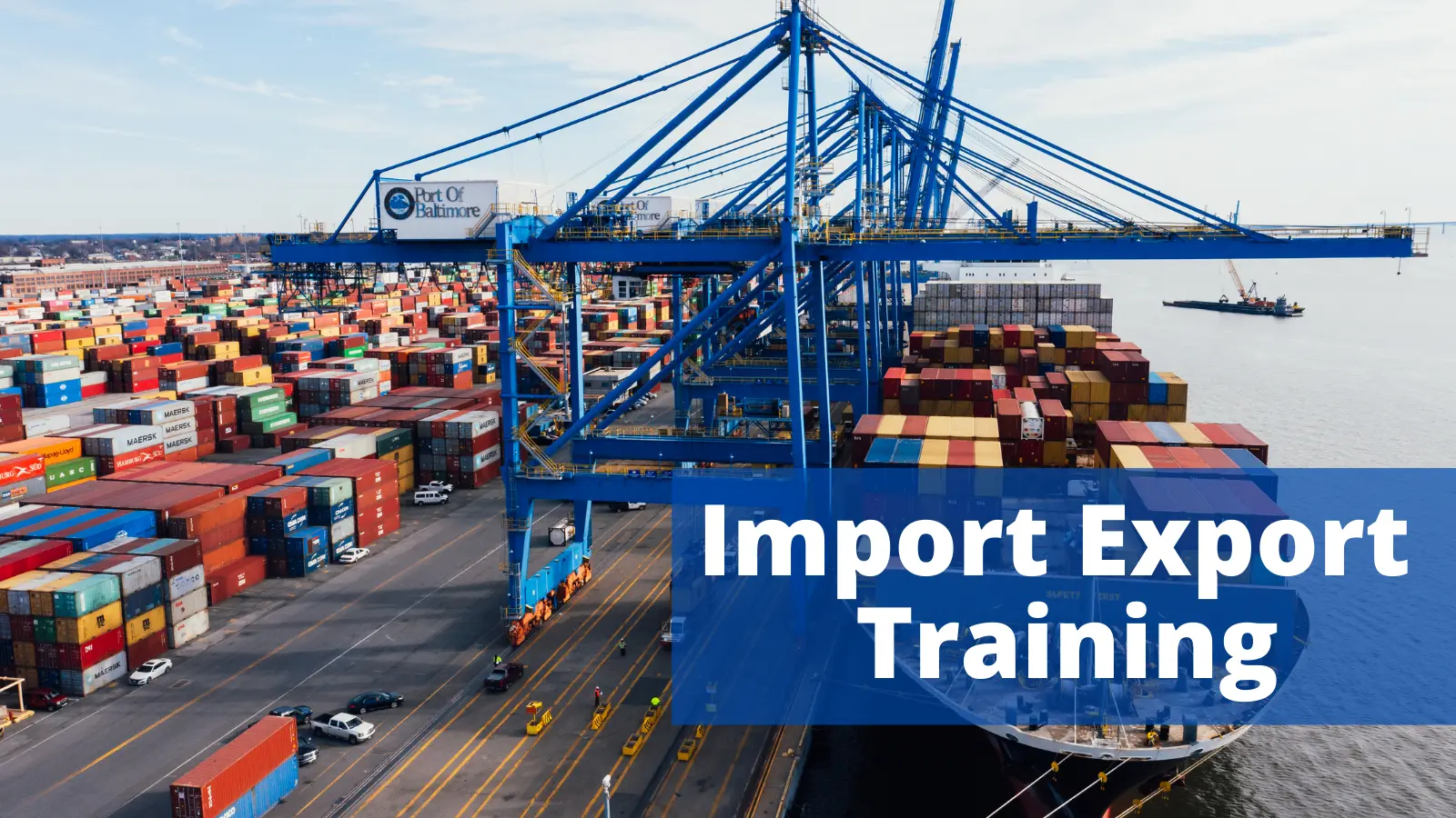 import export training